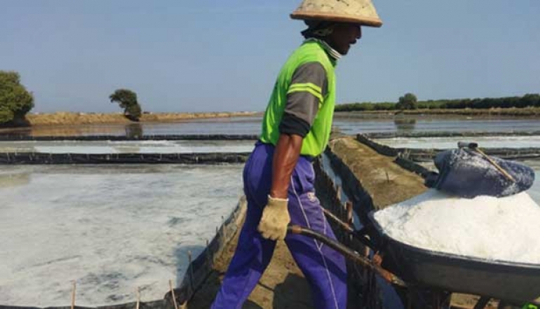 Pati Salt Production During 2024 Reached 324 Thousand Tons