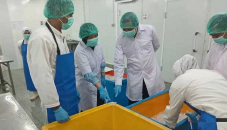 KKP Expands Indonesia's Fishery Export Market to Korea
