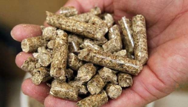 Wood Pellets Dominate Gorontalo's Exports in January 2025, Recording a Value of USD 2.7 Million