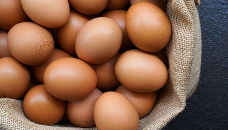 Indonesia is ready to export 1.6 million eggs per month to the United States, given its surplus production of chicken eggs
