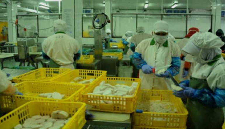 Indonesia's fisheries trade saw a 9.1% increase in surplus in 2024