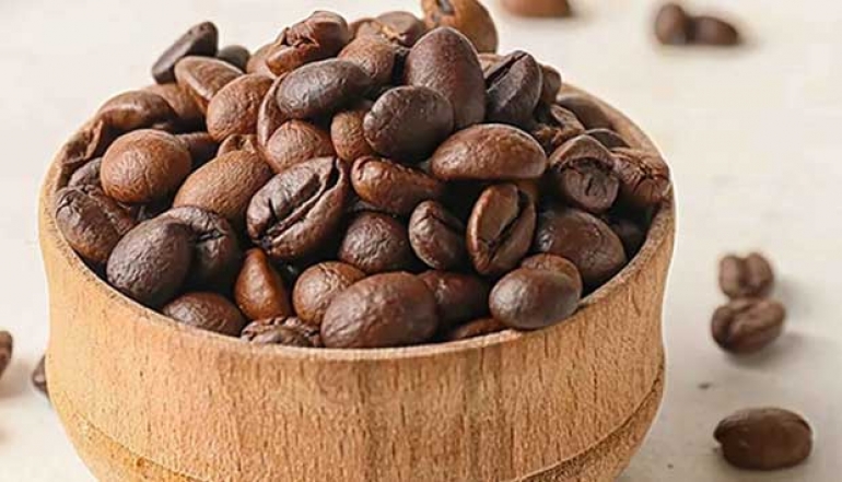 Lampung Robusta Coffee Enters the Egyptian Market