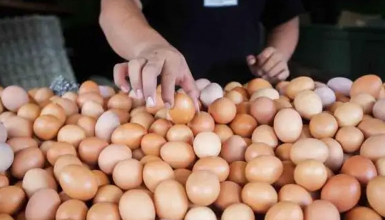 Indonesia Expands Agricultural Trade Opportunities by Targetting Poultry Product Exports to China and the Middle East
