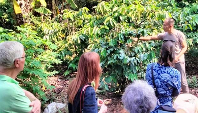 Prigen Coffee is Increasingly Popular, Many Tourists Visit the Plantation, Exports are Also Maintained