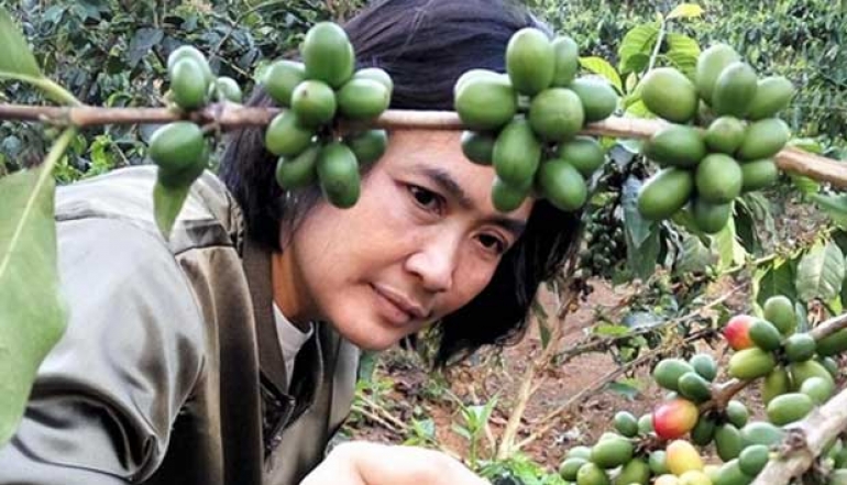 BNI Supports Micro, Small and Medium Enterprises of Garut Coffee for  Food Self-Sufficiency &amp; Global Market Access