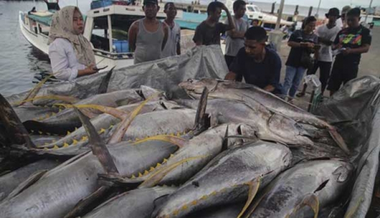 544 Fish Processing Companies Enter the Export Market to China