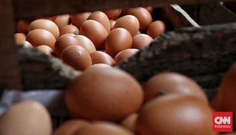 Trade Minister's Speaks Out About Opportunity to Export 1.6 Million Eggs to the US
