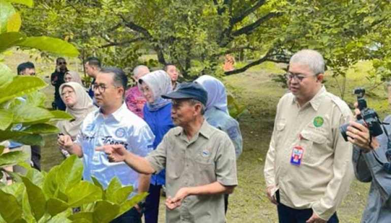 Liberica Coffee: A Sustainable Future Investment for East Kalimantan