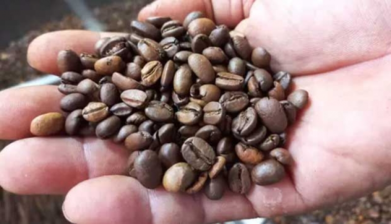 Indonesia Ranks as the World&rsquo;s 4th Largest Coffee Producer