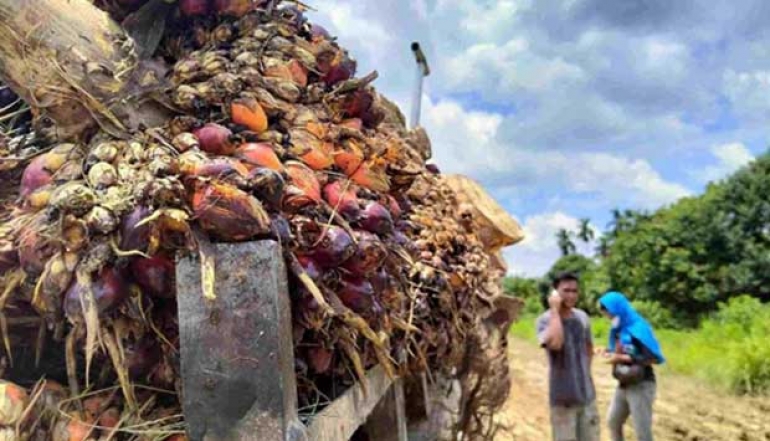Riau Urged to Maximize Green Economy Opportunities Amid Global Economic Turbulence