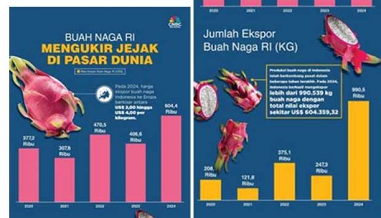 Here is Proof that Indonesia's Dragon Fruit is in High Demand Worldwide