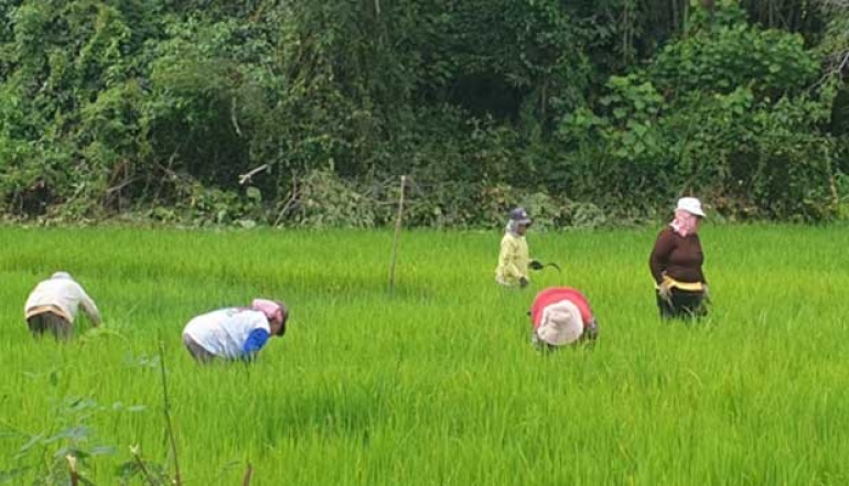 Minister of Agriculture Targets 4.81% Agricultural Sector GDP Growth by 2029