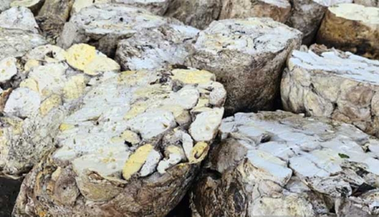North Sumatra's Rubber Exports Reach 20,737 Tons in February 2025