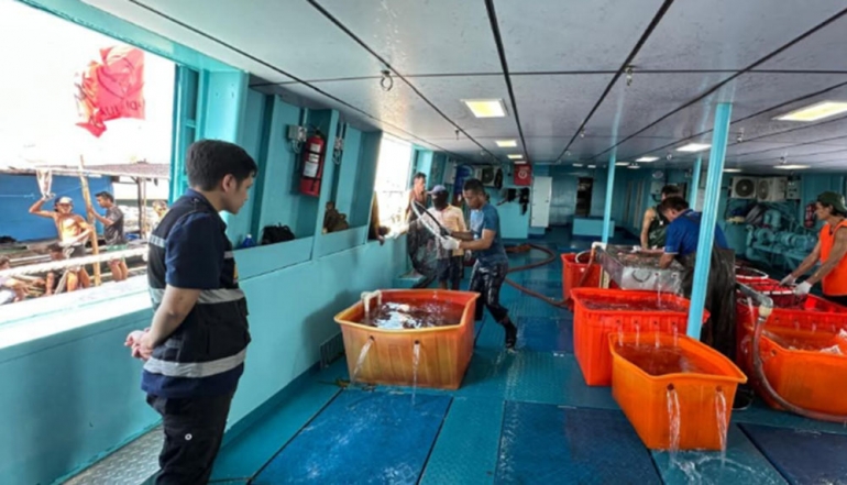 Indonesian Maritime Sector Dispatches Large Scale Live Grouper Export to East Asia