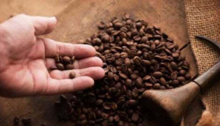 The Ministry of Trade: Indonesia's Coffee Exports Expected to Continue Growing to South Korea