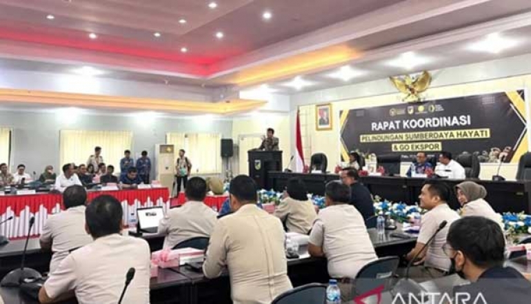 Head Of The Quarantine Agency: Indonesia Is Ready To Export Durian Directly To China
