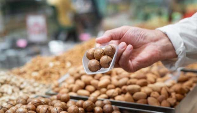 Indonesia Boosts Cashew Nut Exports, Big Opportunities in the Global Market