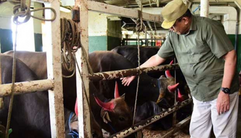 Agriculture Thrives, Gusnar Optimistic About Gorontalo&rsquo;s Economic Growth