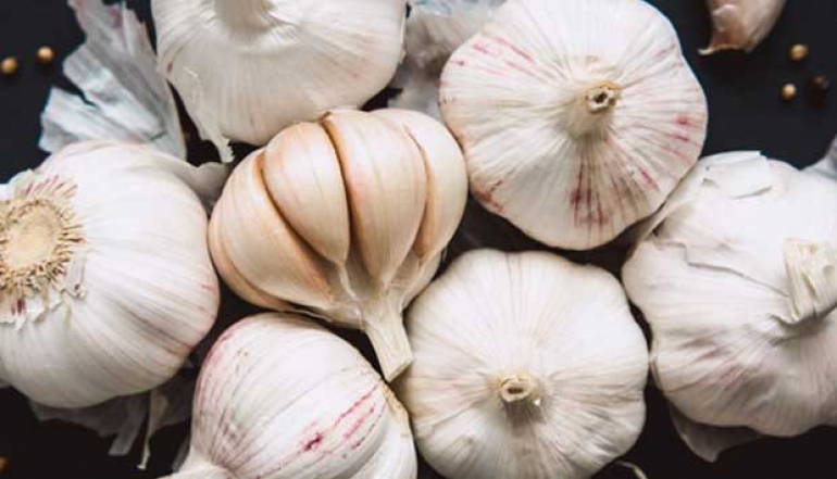Ministry of Trade: 21,000 Tons of Imported Garlic Will Enter in March 2025