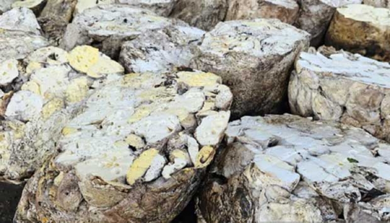 North Sumatra Rubber Exports Reach 25,910 Tons in January 2025