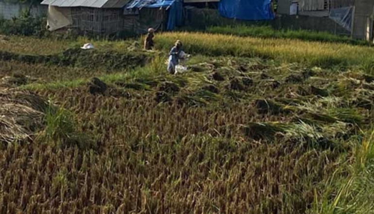 Garut Regency Government to add 371 hectares of food land by 2025
