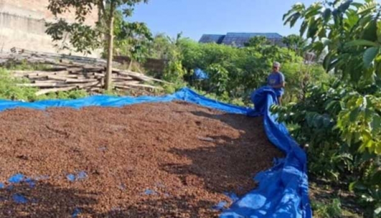 Lampung Boosts Economic Growth Through Inclusive Industry