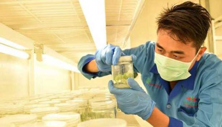 EWINDO Strengthens Research and Innovation to Face Horticulture Industry Challenges