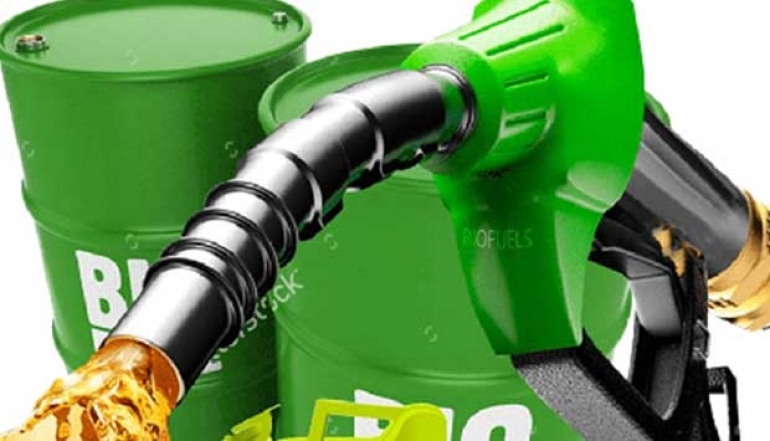 The Price Officially Increased! Biodiesel Price Reaches IDR 14,290/litre, Effective from April