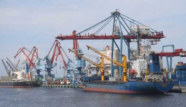 Indonesia's Palm Leaf Export Potential Gains Momentum