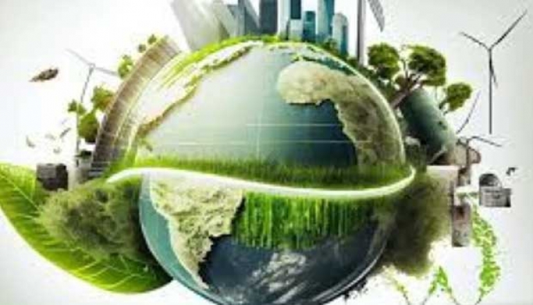 Government Strengthens Green Economy Commitment at COP 29