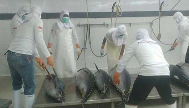 Maluku's Exports Rise by 25.52% in February 2025, Dominated by Fish and Shrimp